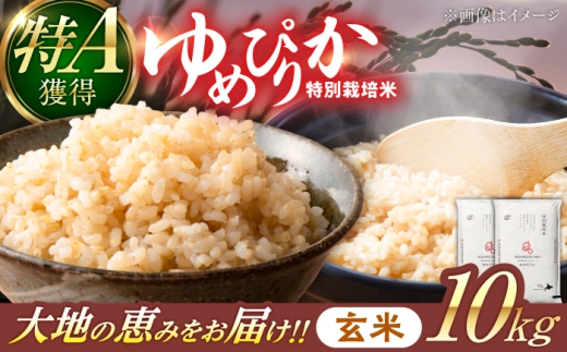 【令和8年産】【新米】農家直送！特別栽培米ゆめぴりか【玄米】10kg 特A 北海道 米 お米 こめ JGAP認証農場 | 株式会社きしもとファーム [BOBB047]