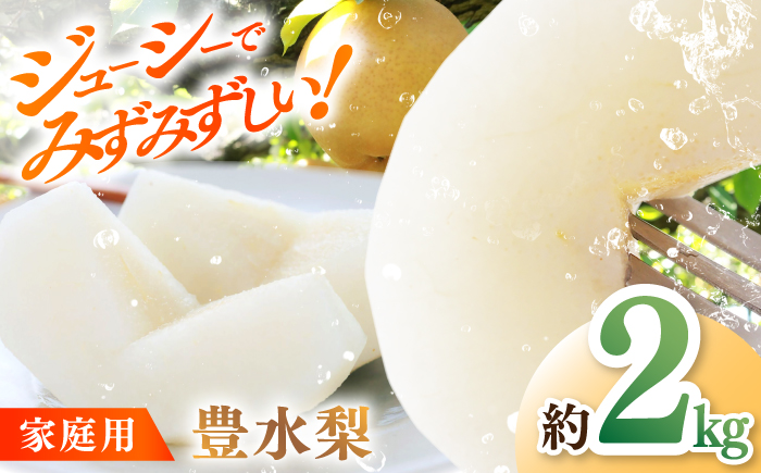 【先行予約】 川渕果樹園 豊水梨 約2kg 家庭用 〈2025年10月～発送〉 / 梨 なし ナシ 豊水 果物 フルーツ デザート 夏 秋 ヘルシー 健康 水分補給 【株式会社Dorago】 [ATAM056]