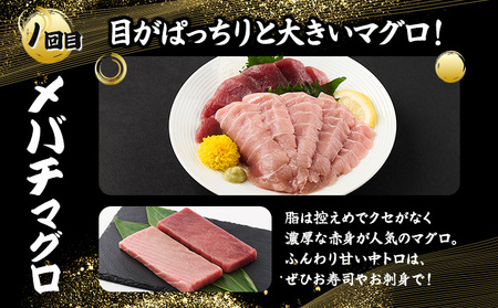 室戸屋誉丸の厳選マグロ（赤身・中トロ）を定期便で食べ比べ！【３回お届け】 _mh019