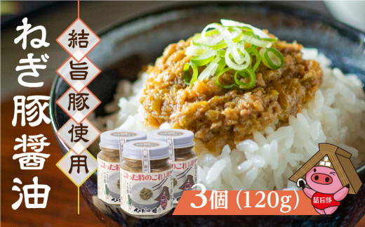 白川郷 結旨豚使用 ねぎ豚醤油 120g×3個 飛騨ねぎ 生姜 醤油 ご飯のお供 抗生物質 合成抗菌剤不使用 ｜ 豚肉 ご飯のお供 豚肉 おかず 豚肉 調味料 豚肉 おつまみ 豚肉 具材 結旨豚 ブランド豚 国産豚 ブランド豚 結旨豚 おにぎりの具 料理の具材 お酒のおつまみ 白米 ごはん 味付け 逸品 ご馳走 世界遺産 [S304]