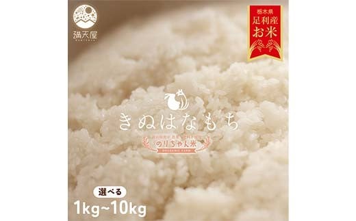 
                  ＼選べる容量／令和7年 足利市産 のりちゃん米 もち米 (きぬはなもち) 1kg 2kg 5kg 10kg ＜栽培期間中 農薬・肥料不使用＞ 餅 もち 米 こめ 食品 農家 限定 2025年 年末 正月 新年 贈答 贈り物 ギフト プレゼント 家庭 自宅 栃木県 足利市 F7Z-1719var
                