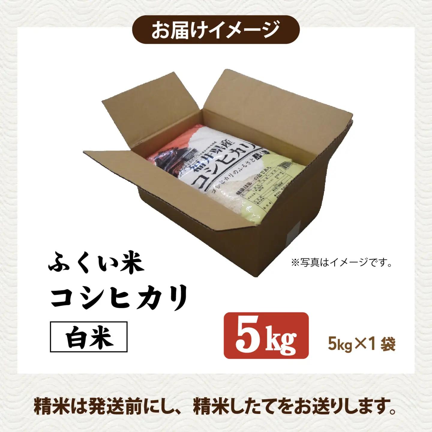 【先行予約】【ふくい米】令和8年産  福井市産コシヒカリ5kg 「2026年10月上旬より順次発送」 [A-168014] | こしひかり