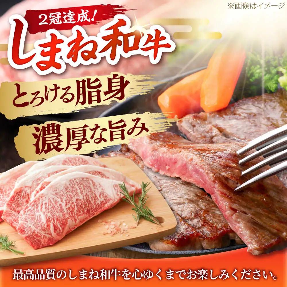 しまね和牛 サーロインステーキ200ｇｘ1枚 和牛 牛肉 ステーキ / 島根県雲南市 / フジキコーポーレーション株式会社[AIEA004]