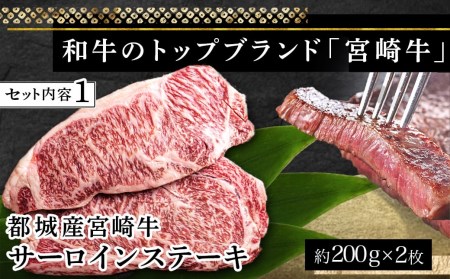 宮崎牛ヒレ・サーロインステーキ640g_AD-2504_(都城市) 牛肉 ブランド牛 ヒレステーキ(120g×2枚) サーロインステーキ(200g×2枚) ソース・塩コショウ付 真空パック 希少部位