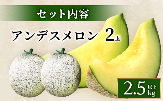 【2025年4月中旬発送開始】【先行予約】熊本県産 アンデスメロン 2玉 約2.5kg以上 【 ご予約 先行 メロン フルーツ 果物 熊本 多良木 たらぎ 】083-0697