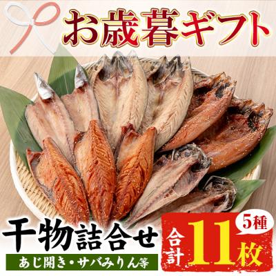 ふるさと納税 いちき串木野市 【令和7年お歳暮対応】サバ・アジ・カマスのひもの詰合せセット5種11枚