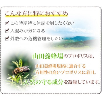 【毎月定期便】プロポリス粒 (486)全3回【4008978】