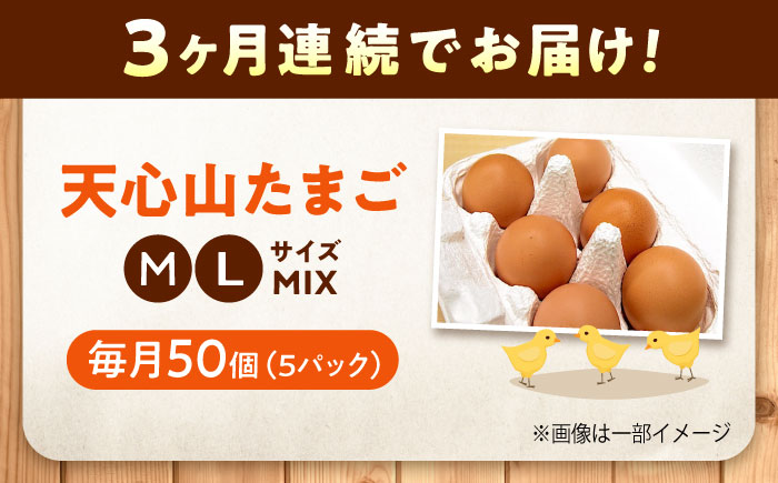 【全3回定期便】天心山 たまご 50個（10個入り×5パック） 卵 たまご 高級 食品 たまごかけご飯 卵かけご飯 卵焼き 生卵 濃厚 ケーキ お菓子 づくり ランキング 上位 人気 おすすめ 定期便　広島県福山市/天心山ファーム [BABW034]