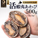 【ふるさと納税】利尻島産 天然蝦夷『活』アワビ500g　北海道 天然 あわび アワビ 鮑 蝦夷アワビ 刺身 ステーキ バター焼き 酒蒸し アヒージョ 高級食材 海鮮 海の幸 海産物 漁師 お歳暮 ギフト 贈答