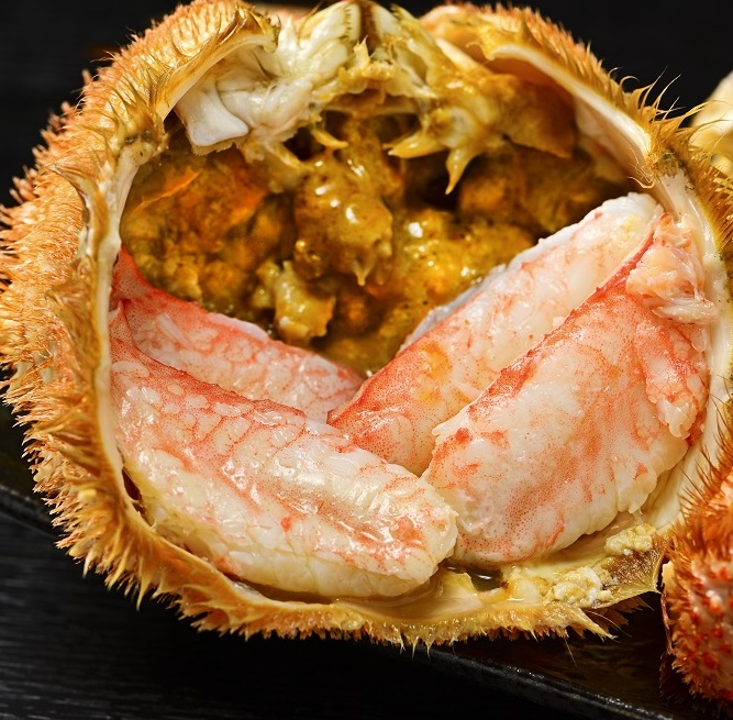 活ゆで毛蟹（2尾）特大 計1500g【冷凍】毛ガニ 毛かに 国産 北海道産 蟹 かに カニ LL