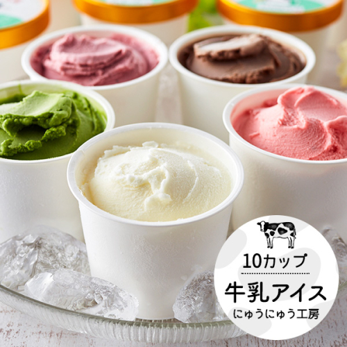 【旬のフレーバーをお届け】【累計1.8万個突破！】アイスクリーム詰め合わせ（10個）012AE01N.／アイス スイーツ デザート 牛乳アイス ミルク にゅうにゅう工房 冷凍 セット 冷菓