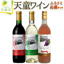 【ふるさと納税】天童ワインふるさと応援セット 赤 白 ロゼ ワイン 飲み比べ セット 720ml 3本 赤 辛口 ライトボディ / 白 やや甘口 ライトボディ / マスカットロゼ 甘口 ライトボディ のし 贈答 お中元 お歳暮 送料無料 【 山形県 天童市 】