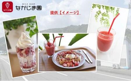 ひんやりイチゴ セット (きらぴ香 冷凍苺 250g 4袋, 苺ジャム チューブ 170g 1個) 冷凍 なかじま園 自宅で かき氷 パフェ いちご 苺 国産 フルーツ くだもの