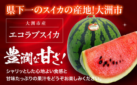 愛媛県産 エコラブスイカ 特1玉 愛媛県大洲市/株式会社フジ・アグリフーズ すいか スイカ くだもの フルーツ [AGBA017] 果物 すいか