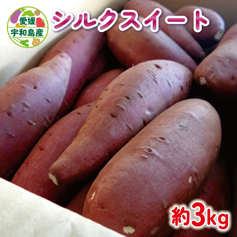 【ふるさと納税】 さつまいも シルクスイート 3kg あかだ農園 先行予約 さつま芋 サツマイモ 焼き芋 焼きいも 焼いも おやつ 甘い 野菜 やさい 産地直送 栽培期間中 農薬 不使用 根菜 イモ 芋 農家直送 数量限定 国産 愛媛 宇和島 F010-137003