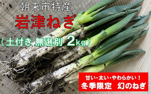 【ふるさと納税】【先行予約】朝来市特産 岩津ねぎ 土付き 太さ 無選別 2kg・4kg 箱入り【AGRI CREW 株式会社】 岩津ねぎ 岩津ネギ 日本農業遺産 新鮮 国産 甘い 太い 柔らかい 香り豊か 冬季限定 幻のねぎ 天ぷら 鍋 焼きねぎ ネギ ねぎ すき焼き 朝来市 限定 TVで紹介