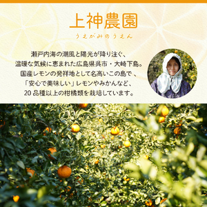 上神農園の冷凍島デコちゃん 一房タイプ約250g×12袋