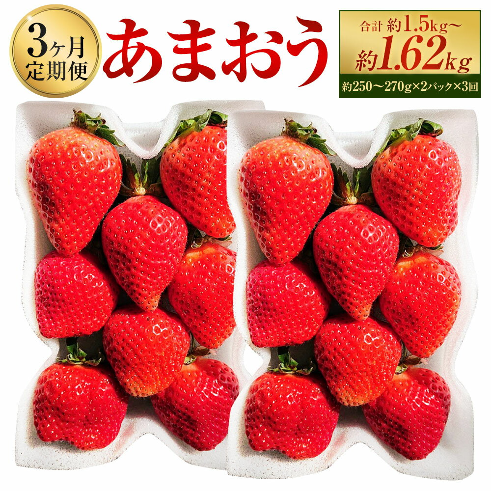【ふるさと納税】【3ヶ月定期便】あまおう 1回あたり2パック 1パック約250～270g 1ヶ月毎 3回 計6パック（2パック×3回） いちご イチゴ 苺 くだもの 果物 果実 フルーツ 冷蔵 福岡県産 国産 九州 福岡県 太宰府市 送料無料 【2026年2月上旬～4月上旬発送予定】