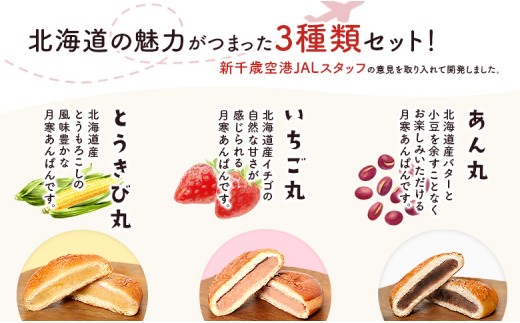 あん丸の里セット×2個セット