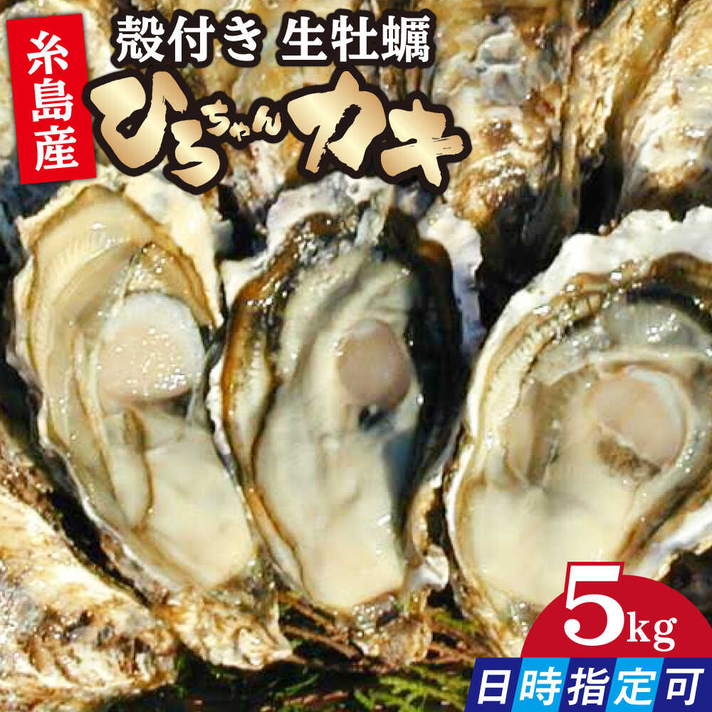 【ふるさと納税】【日時指定可】加熱用 殻付き牡蠣 5kg 真牡蠣 ひろちゃんカキ / 糸島市 [AJA010] 27000円