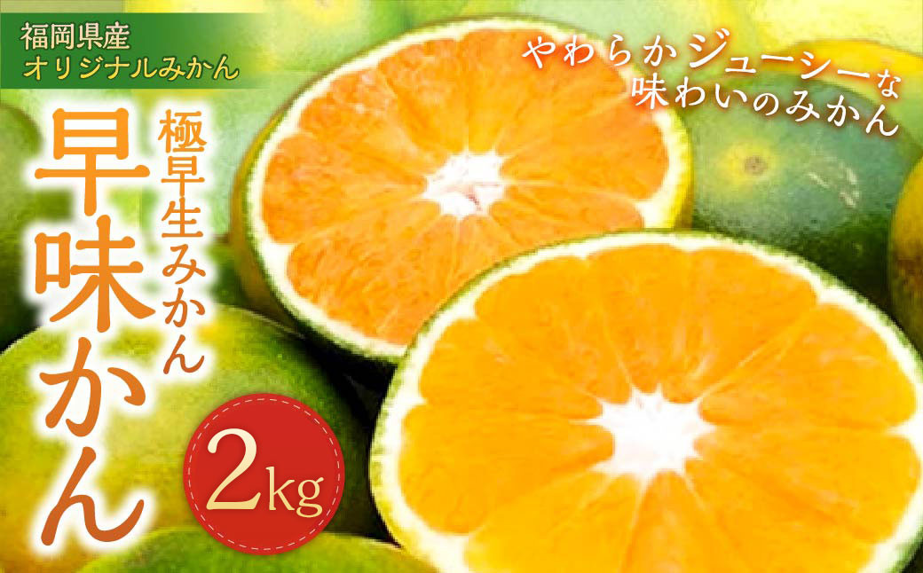 
                  福岡県産 極早生みかん・早味かん 約2kg 早生 ミカン 果物 くだもの フルーツ 柑橘 かんきつ 【2026年9月上旬～9月下旬発送予定】
                