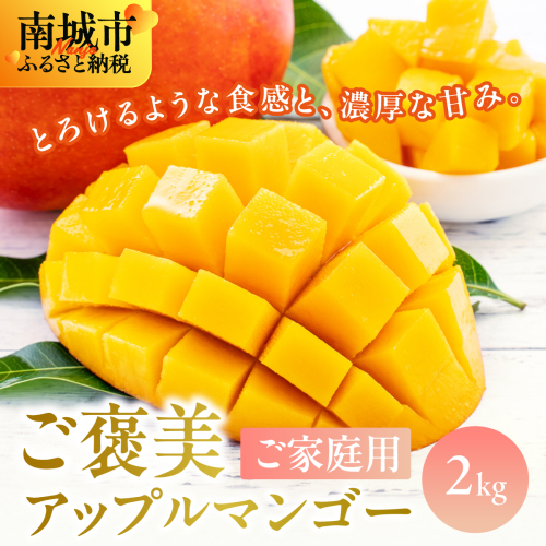 【先行予約】ご家庭用ご褒美アップルマンゴー　2kg