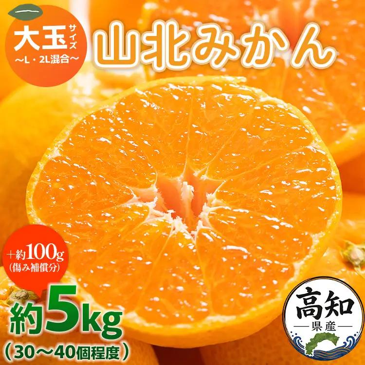柑橘 山北みかん 大玉サイズ L・2L混合 約5kg 柑橘 yk-0079