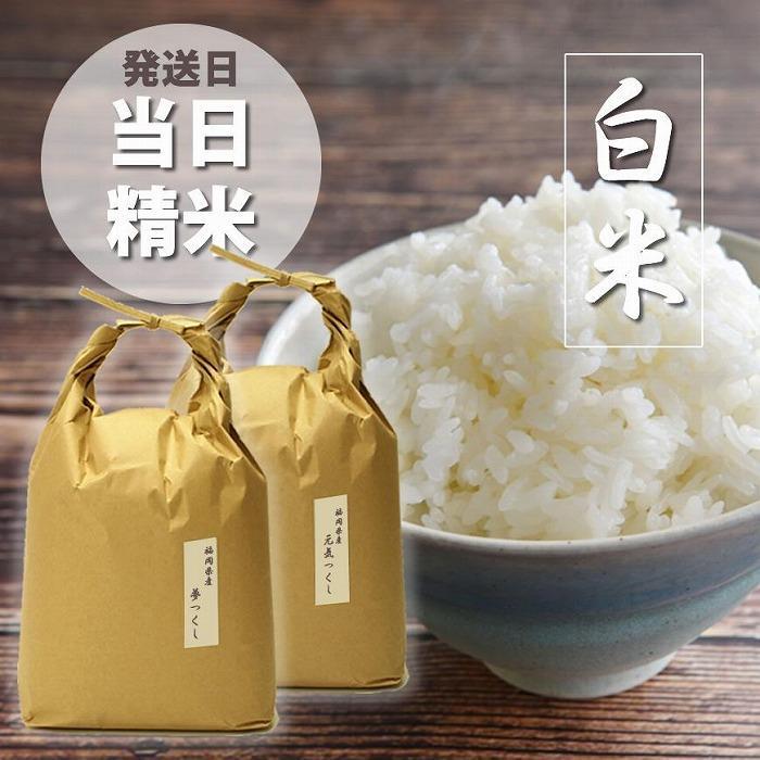 ＜令和6年産＞福岡県産【特A米】元気つくし【A米】夢つくしの食べ比べ 各5kg×2袋 [10kg] [白米]