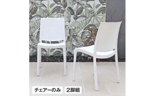 
            【選べる３色】ラタンチェアー 2脚組 【大型】
          