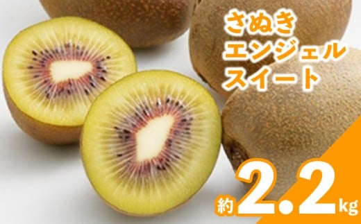 先行予約 キウイ 約2.2kg キウイフルーツ さぬきエンジェルスイート 果物 果実 フルーツ 旬 デザート 選べる 容量 11月上旬～12月上旬 配送 家庭用 贈答用 ギフト プレゼント 香川県 丸亀市