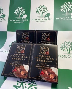 北海道北広島産 ブラックアンガス牛 宮北牧場カレー 800g（200g×4箱）ビーフカレー