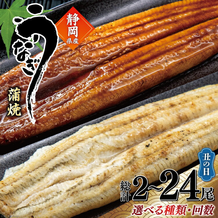 【ふるさと納税】 うなぎ 国産 蒲焼 白焼 約160g 2尾〜24尾 選べる種類 量 丑の日 [駿河淡水 静岡県 吉田町 22424530] タレ山椒付き 真空パック 個包装 静岡県産 静岡 鰻 ウナギ 蒲焼き 白焼き 丑の日配送