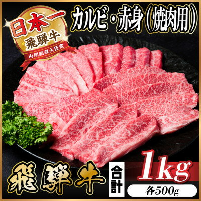 【ふるさと納税】飛騨牛 カルビ・赤身(焼肉用) 1kg(各500g)_ 肉 飛騨牛 焼き肉 カルビ 赤身 焼肉 やきにく 焼肉用 牛肉 牛 ニク にく お肉 BBQ バーベキュー アウトドア キャンプ ギフト プレゼント 岐阜県 1kg 冷凍 送料無料 【配送不可地域：離島】【1543764】