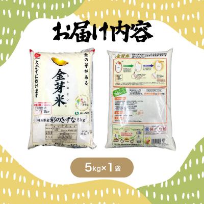 ふるさと納税 飯能市 【定期便】埼玉県産 金芽米(彩のきずな) 5kg×6ヶ月分 |  | 03