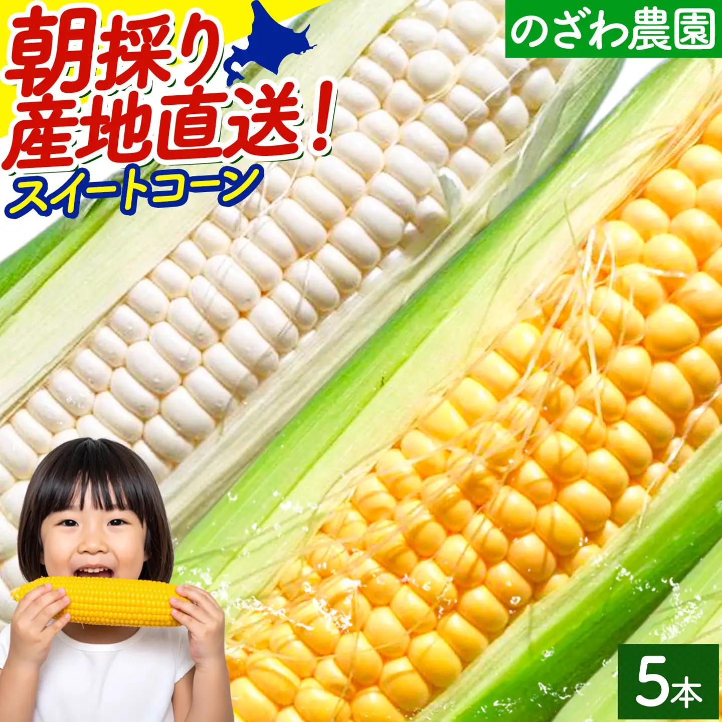 【先行予約】とうもろこし スイートコーン 約5本 2kg のざわ農園 《2026年8月上旬-9月中旬頃出荷》