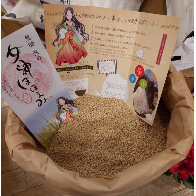 ふるさと納税 田原市 田原市産「女神のほほえみ」5kg(玄米のまま)