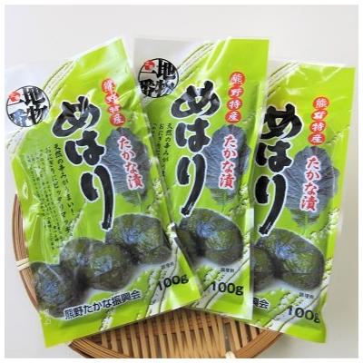 ふるさと納税 熊野市 熊野特産　たかな漬「めはり」100g×10袋【化粧箱入り】