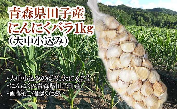 
青森県田子産にんにくバラ（訳あり）約1kg
