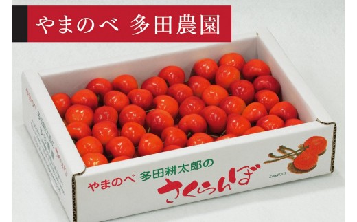 ＜先行予約＞【紅秀峰】バラ詰 700g【やまのべ多田耕太郎のさくらんぼ 多田農園】