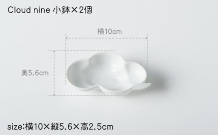 肥前吉田焼Cloudnine2個セット NAU001 