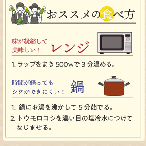 【先行予約】とうもろこし ドルチェドリーム5本 【数量限定】 2026年7月中旬から出荷 離島配送不可 [T0029]
