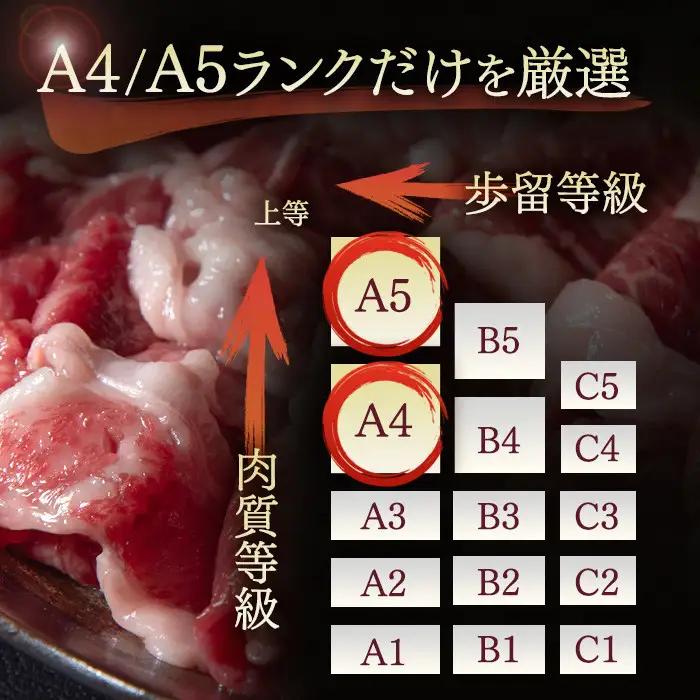訳あり 博多和牛 切り落とし 500g ×1パック | 切り落とし 小分け  不揃い