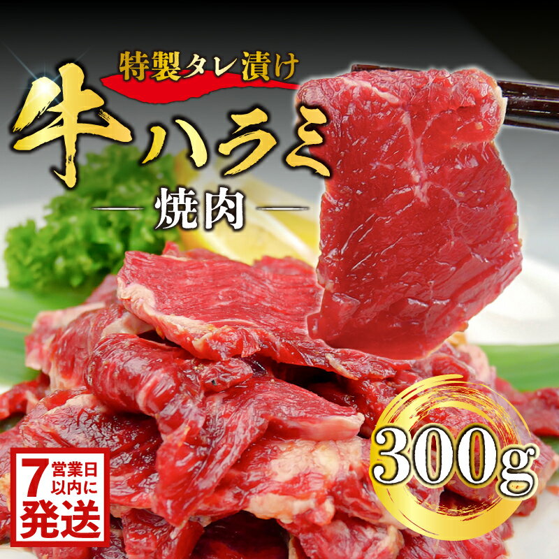【ふるさと納税】 特製タレ漬け牛ハラミ焼肉 300g 岐阜県 可児市 肉 お肉 ハラミ 牛肉 赤身肉 脂 濃厚 下味付き 簡単調理 焼くだけ おつまみ おかず 冷凍 お取り寄せ グルメ 送料無料