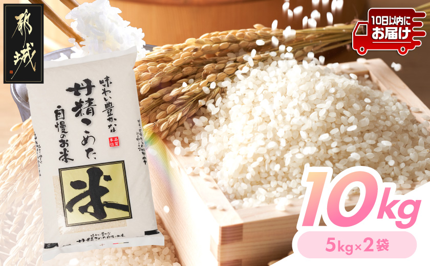 都城産米と国産米ブレンド 10kg≪みやこんじょ特急便≫_AC-33-001-10kg-Q