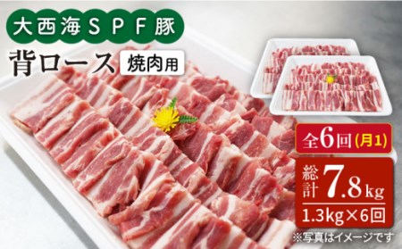 6回定期便 大西海SPF豚 背ロース 焼肉 計1.2kg 訳あり ＜大西海ファーム＞CEK097 焼肉 焼肉 焼肉 焼肉 焼肉 焼肉