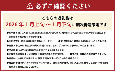 数量限定！ 温州みかん「ひめのか」を開発した愛媛県果樹研究センターが栽培！ 温州みかん（愛媛県オリジナル品種 ひめのか） 2kg 1箱  果物 くだもの フルーツ 柑橘 かんきつ 【2026年1月上旬