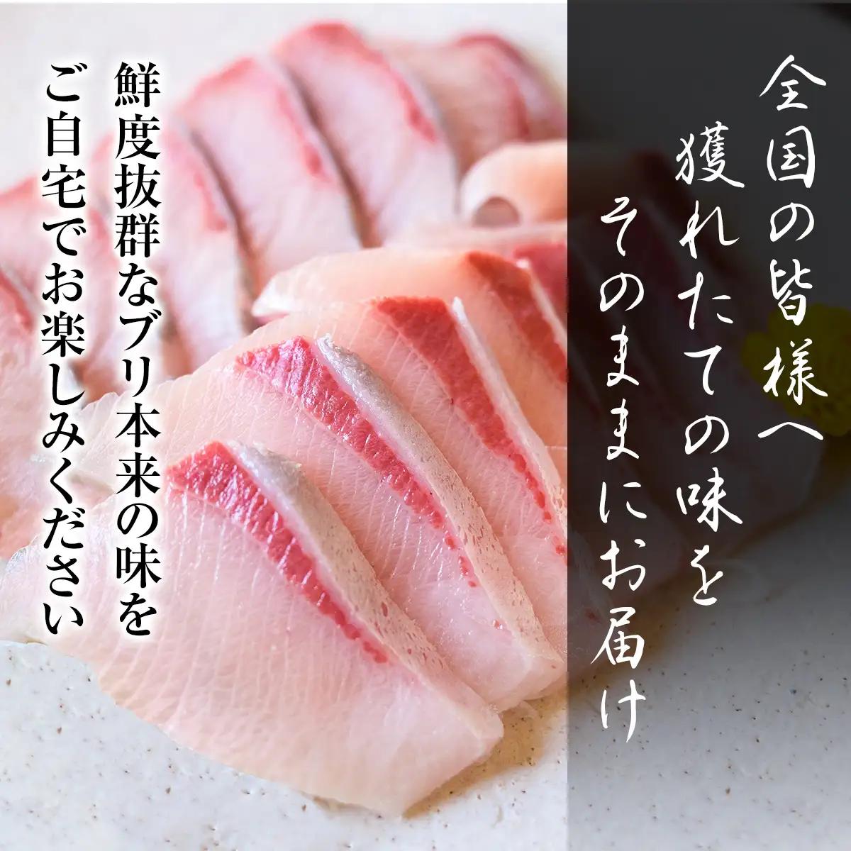 【お試しサイズ!】氷見天然ブリしゃぶしゃぶ用150g〈冷凍〉【寒ぶり】 ぶりしゃぶ 鰤 国産 天然 ブリ 富山県 氷見市  鰤 凍眠凍結製法 ブリ しゃぶしゃぶ用 スライス 天然 鰤 ぶりしゃぶ 鮮度