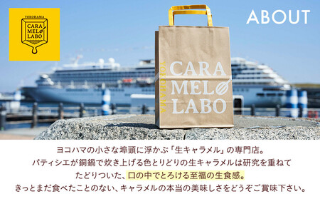 キャラメルショコラサンド　8個入