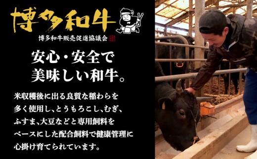 【博多和牛】サーロイン ステーキ 200g×4枚｜牛肉 久田精肉店 黒毛和牛 ステーキ 冷凍【HD027】