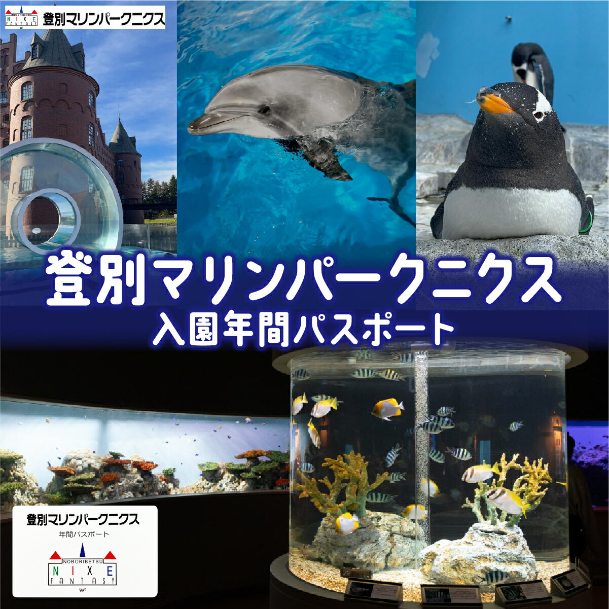 【ふるさと納税】登別マリンパークニクス 入場券年間パスポート 大人・子ども 各1名 【 チケット 北海道 観光 旅行 体験 パーク 入場券 入園券 割引 北海道 水族館 動物園 イルカ アシカ ペンギン パレード】